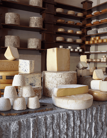 A large variety of cheeses displayed on a carved stone table and wooden shelves.
