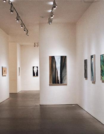 A brightly lit art gallery with white walls, a dark floor, and several paintings under track lighting.