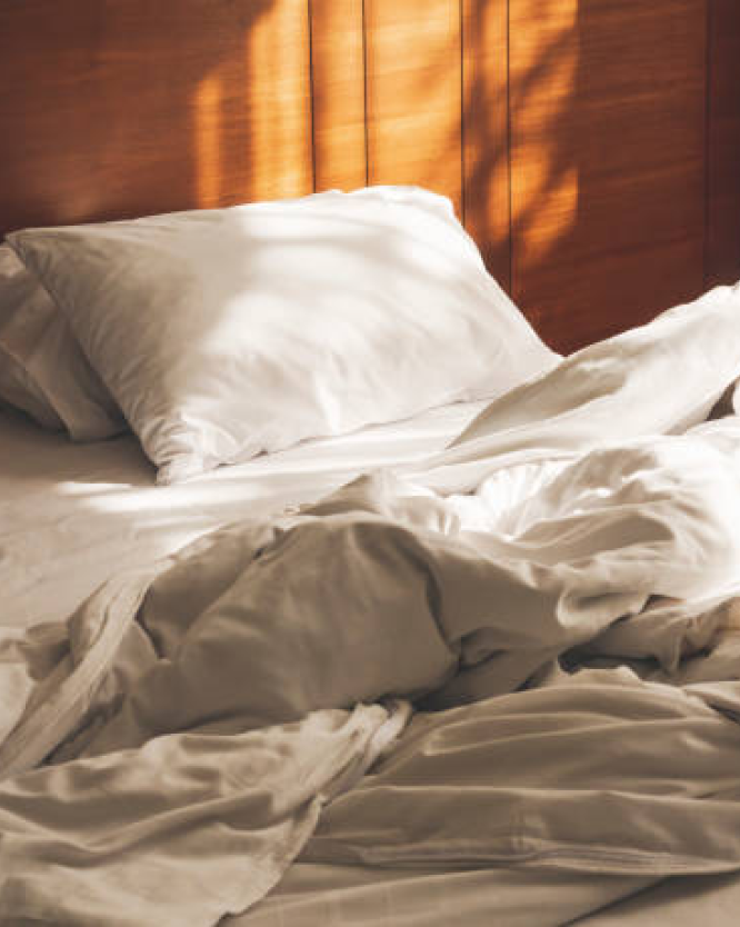Bed