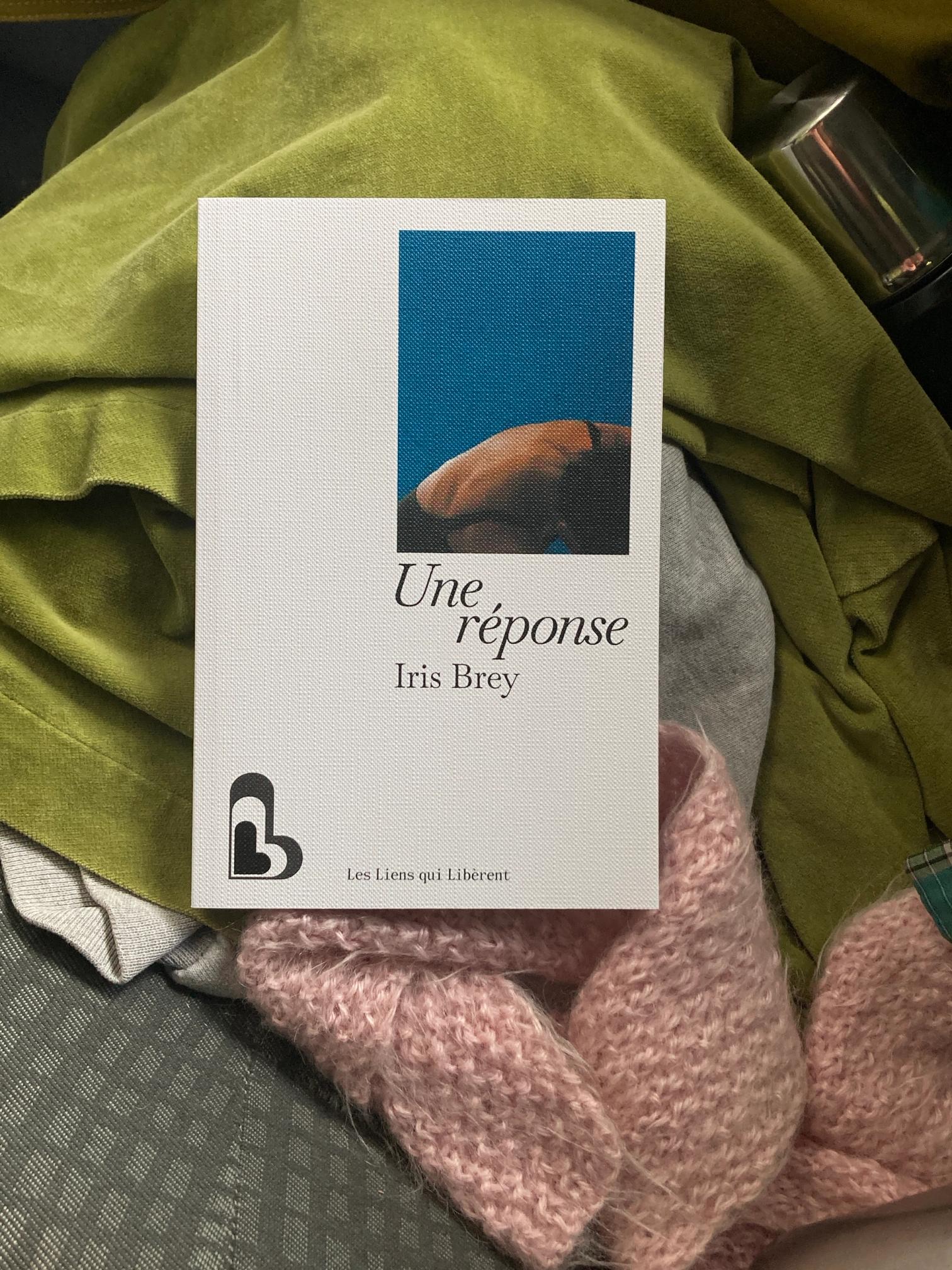 Book "Une réponse" by Iris Brey, with a blue and skin-toned cover showing a person's back, on assorted fabrics.