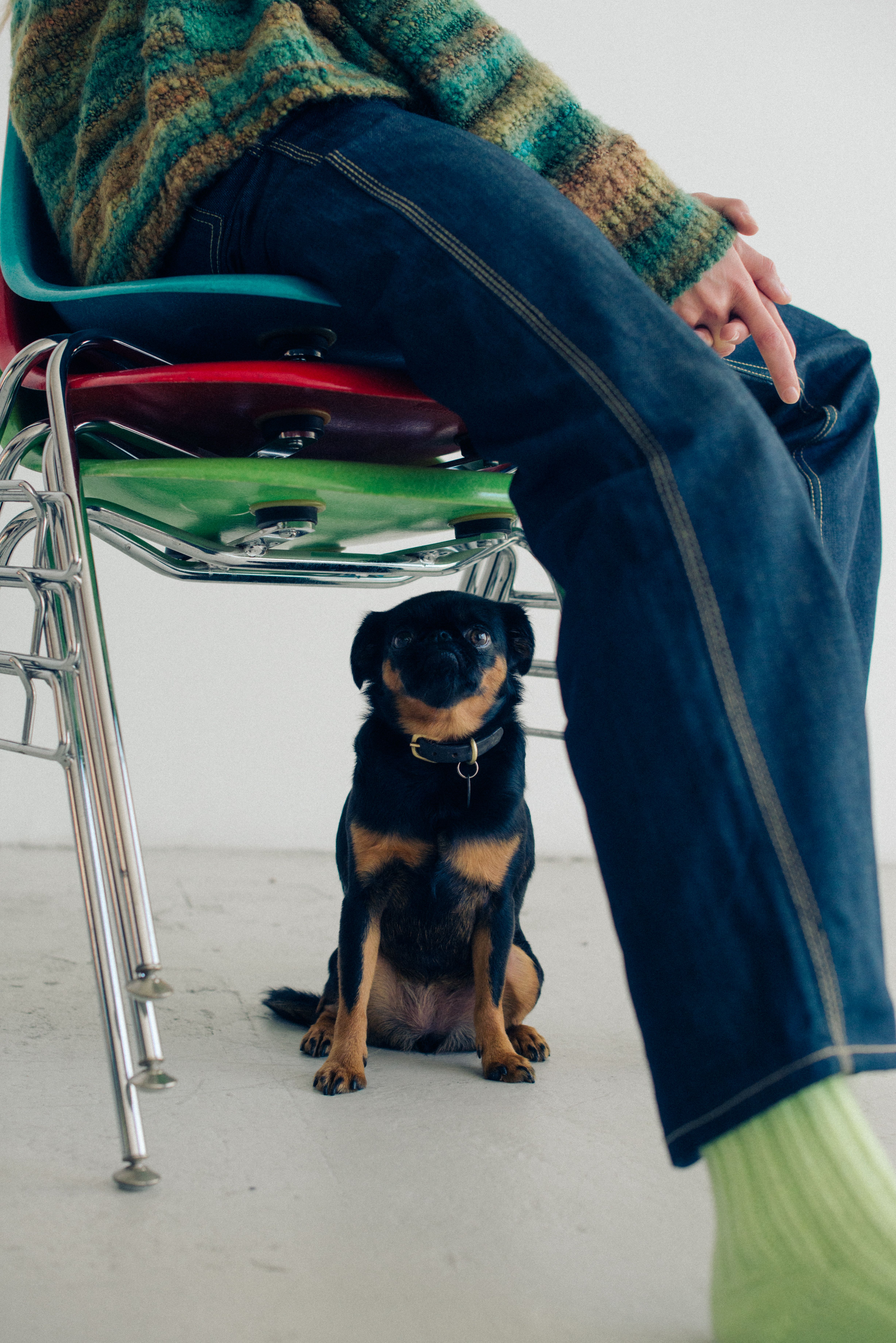 A person sits on stacked colorful chairs, wearing blue jeans and a striped sweater. A small black and tan dog sits on the floor.