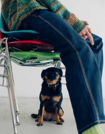 A person sits on stacked colorful chairs, wearing blue jeans and a striped sweater. A small black and tan dog sits on the floor.