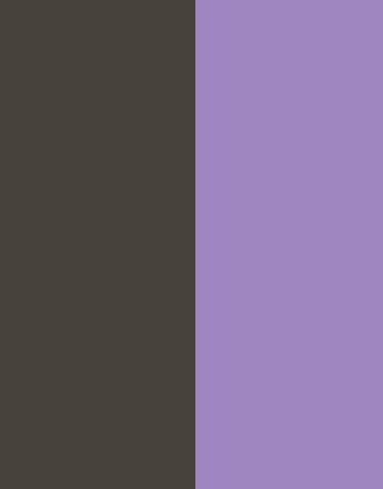Colors 03