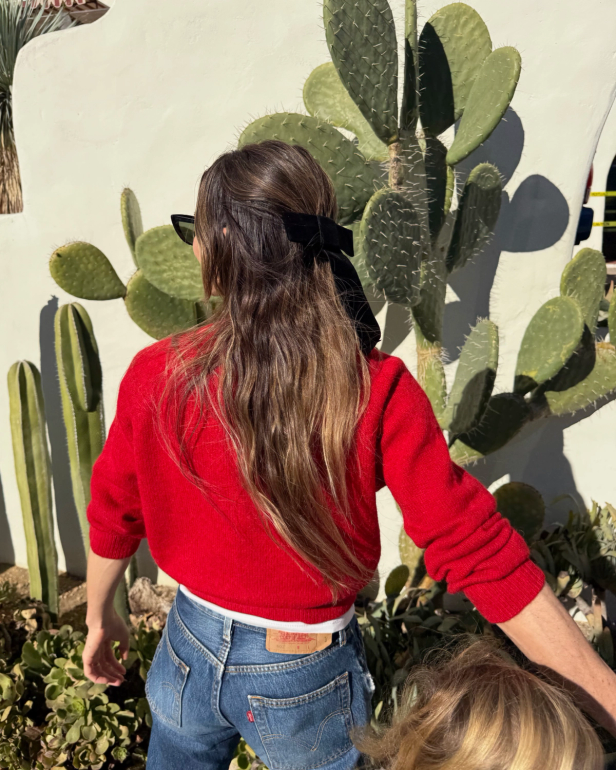 Back of a person with long brown hair tied with a black bow, wearing a red sweater and blue jeans, standing in front of cacti.