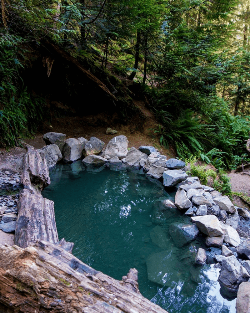 Olympic Hot Springs, chosen by Tastemaker Paul Stamets, for Semaine. 