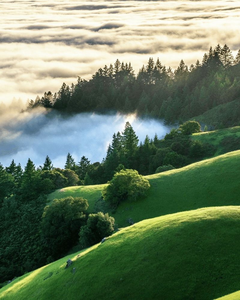 Mount Tamalpais, Chosen by Semaine Tastemaker Hans Ulrich Obrist