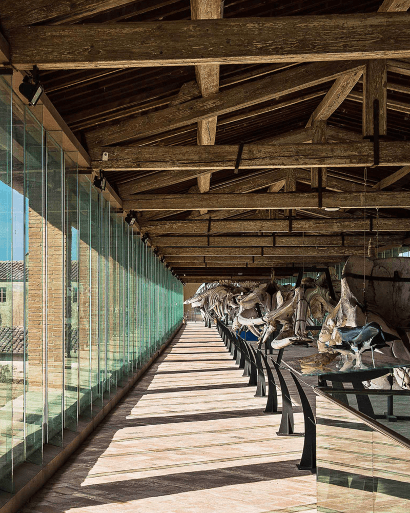 Museo di Storia Naturale, Roma, Italy, Choosen by the Tastemaker Noemi & Benjamin