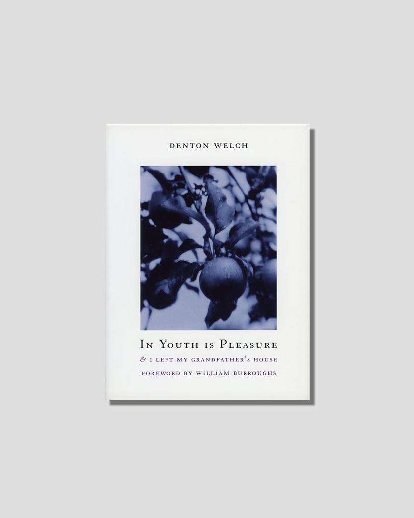 In Youth is Pleasure by Denton Welch chosen by Tastemaker Luke Edward Hall, for Semaine.