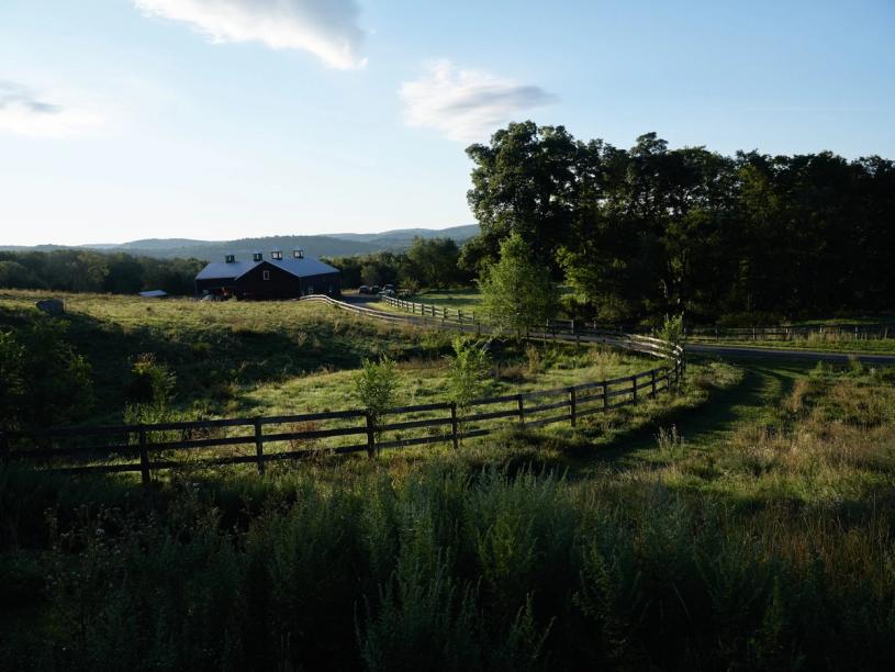 Tastemaker Sky High Farm Semaine