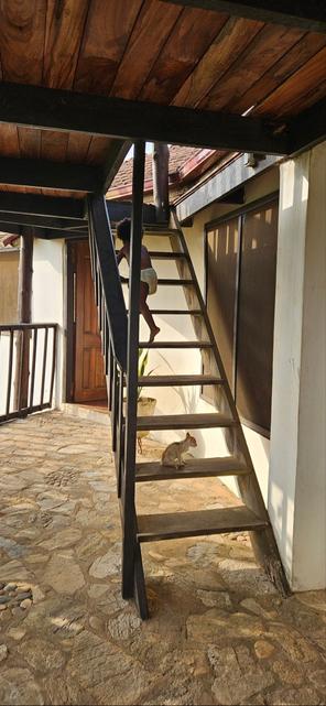 A child climbs a dark wooden outdoor staircase while a cat sits on a lower step.
