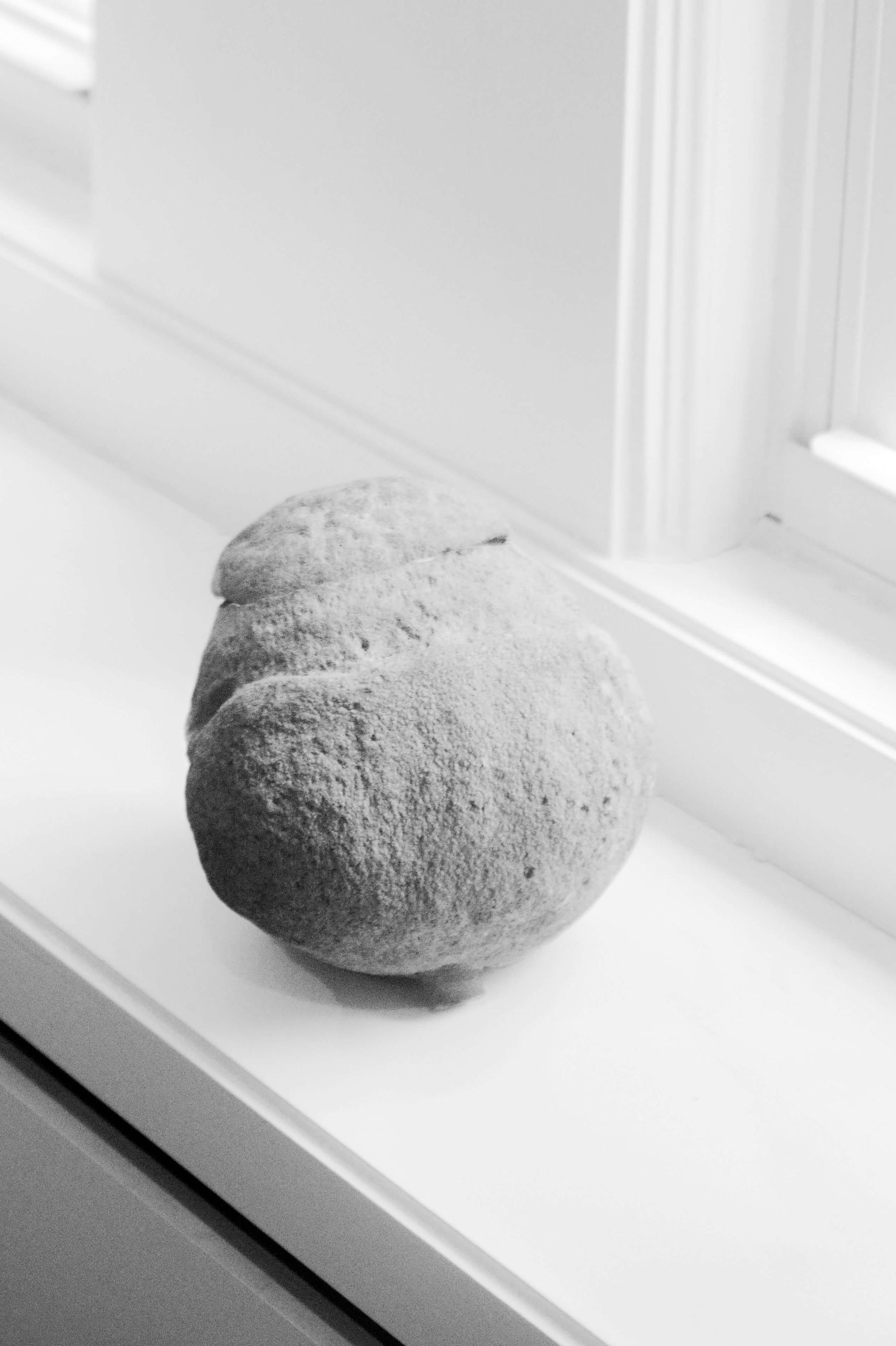 Tastemaker Francisco Costa's Oleo Resin shot for Semaine 