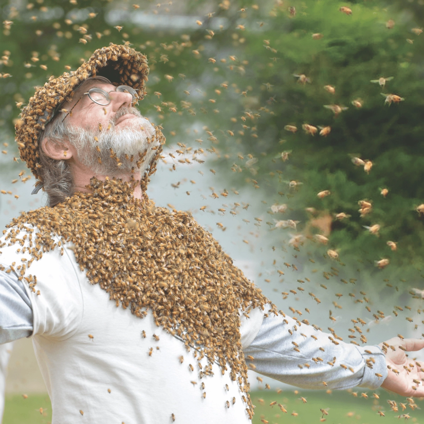 A bearded man covered in a dense swarm of bees, looking up calmly with arms open, as more bees fly around.