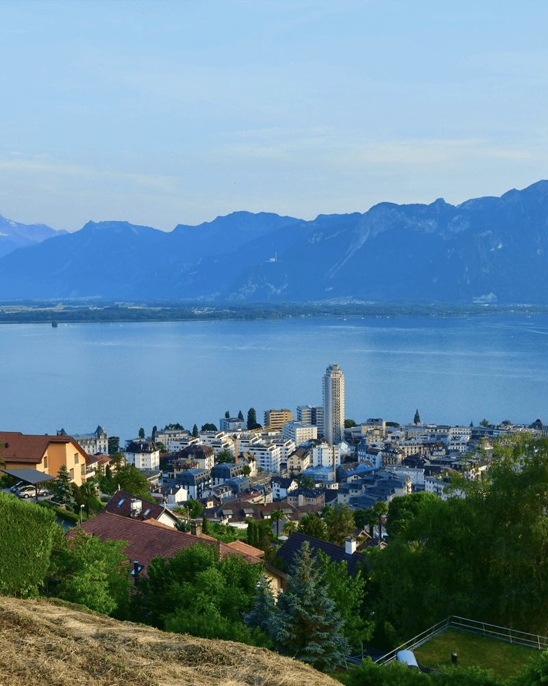Montreux, Chosen by Semaine Tastemaker Sky High Farm