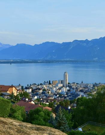 Montreux, Chosen by Semaine Tastemaker Sky High Farm