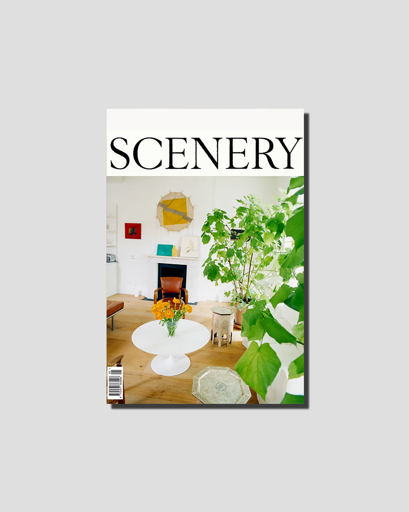 SCENERY magazine cover featuring a bright living room with a white coffee table, orange flowers, and large green plants.