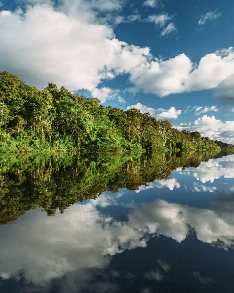 Amazon River, chosen by Tastemaker Kengo Kuma, for Semaine. 