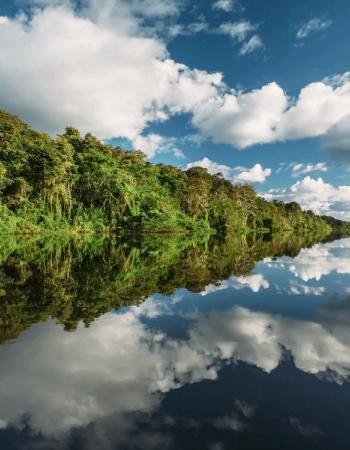 Amazon River, chosen by Tastemaker Kengo Kuma, for Semaine.