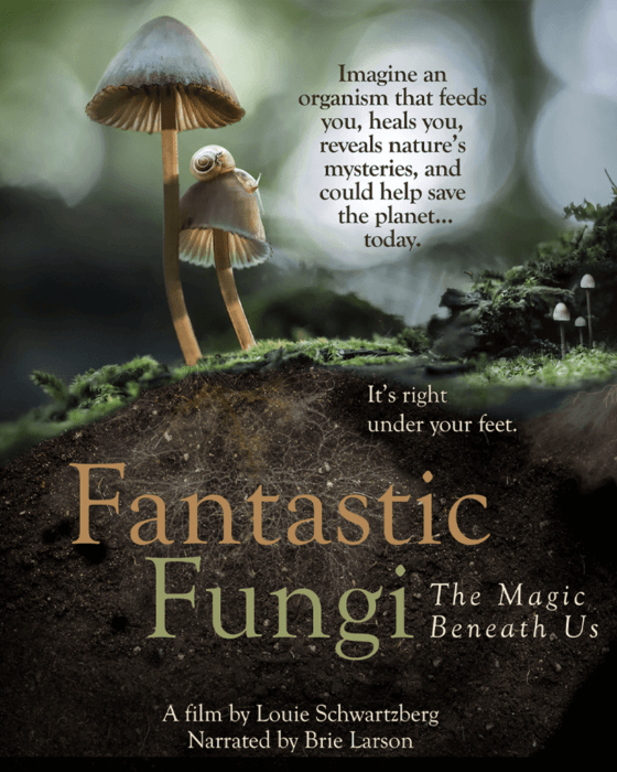 Fantastic Fungi on Netflix chosen by Tastemaker Tonya Papanikolov, for Semaine.