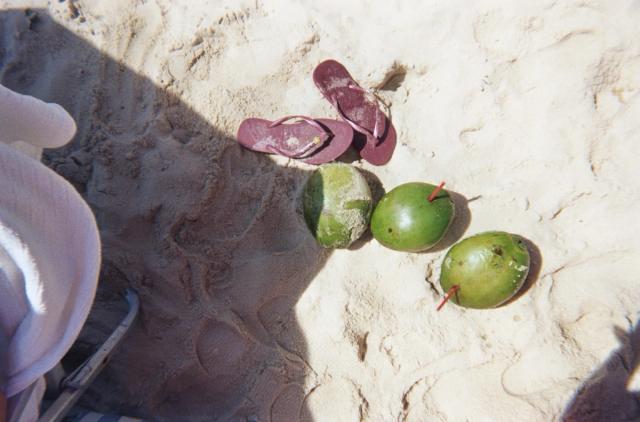 Flip-flops and three green coconuts, two with straws, on a sandy beach.