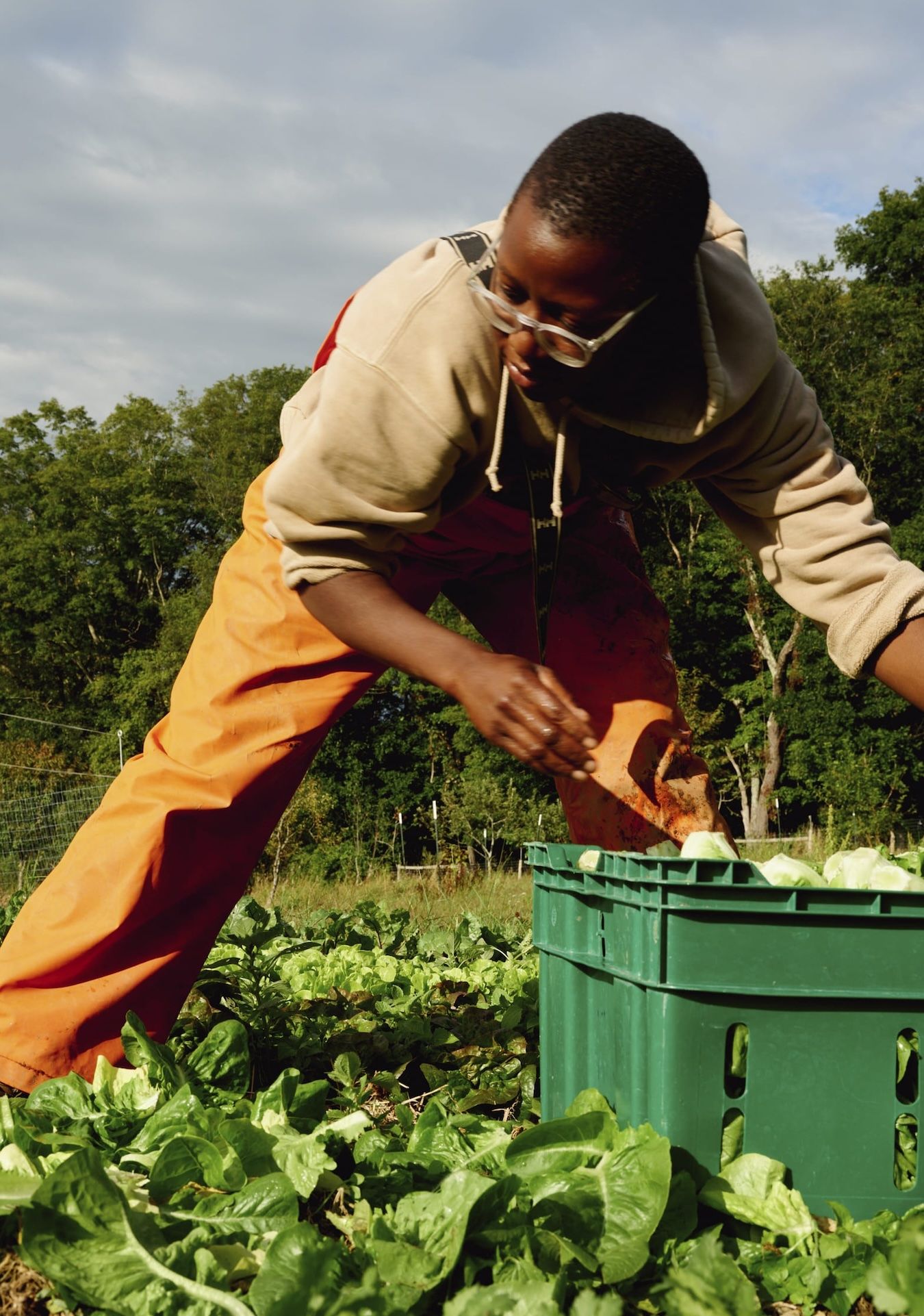 Semaine Tastemaker Sky High Farm shot by Devin Doyle