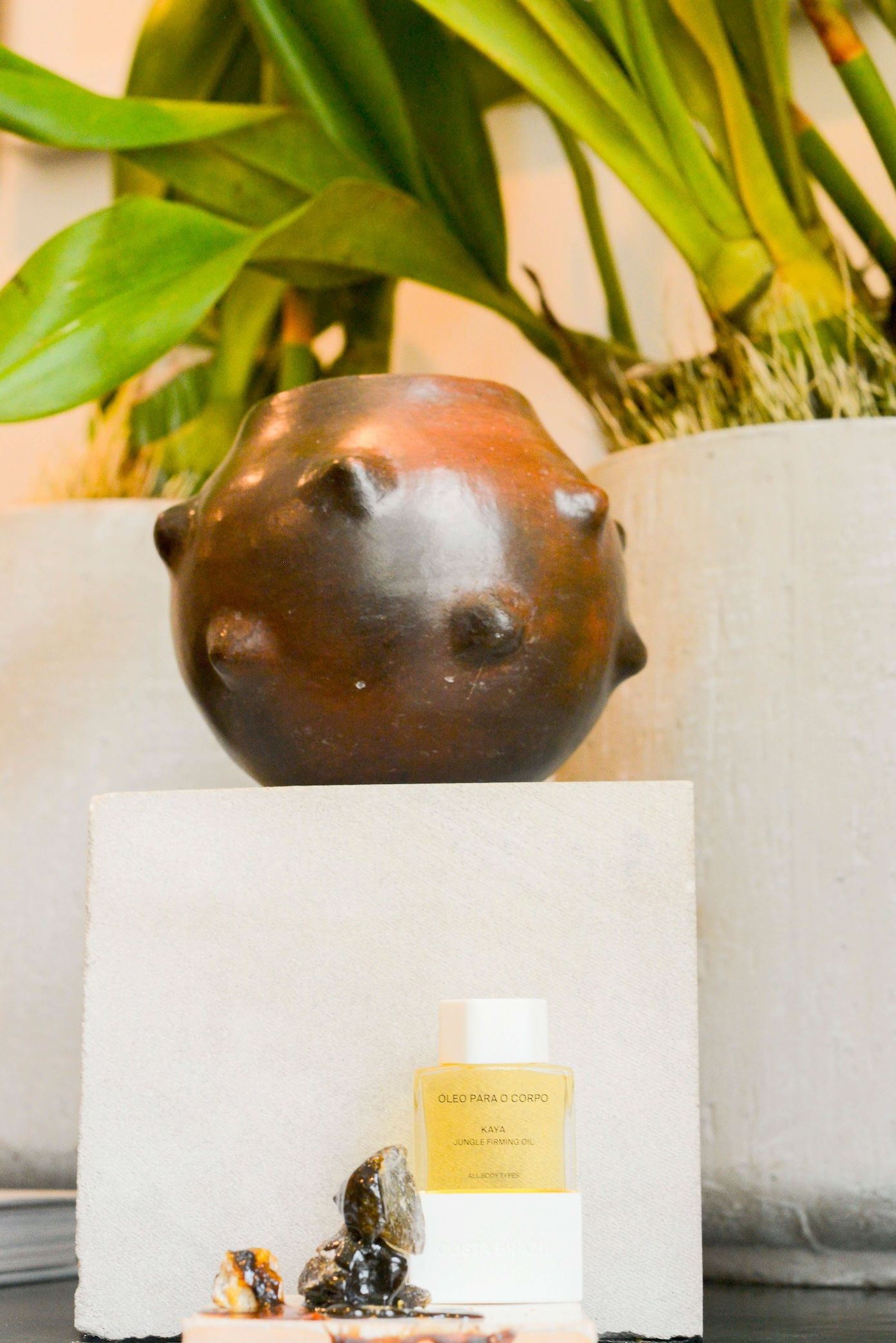 Tastemaker Francisco Costa's oil shot for Semaine 