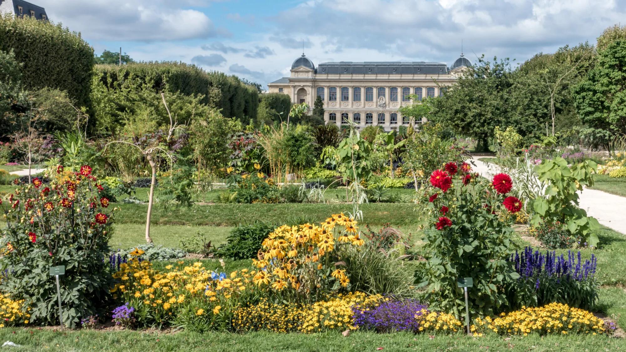 A colorful botanical garden filled with red, yellow, and purple flowers, with a grand building in the background.