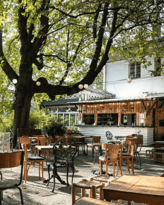 Outdoor cafe seating under a large tree with string lights, next to a wooden bar and white building.