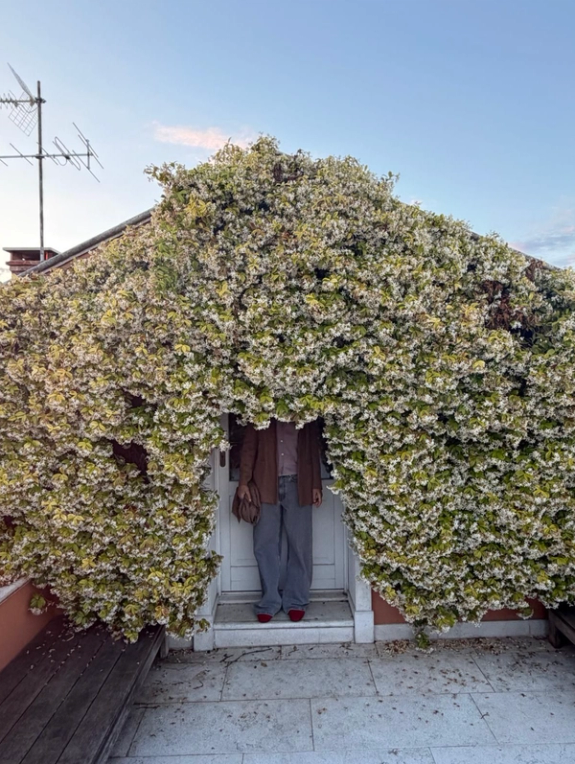 A person stands in a white doorway, their head obscured by dense white and green flowering vines that cover the building.