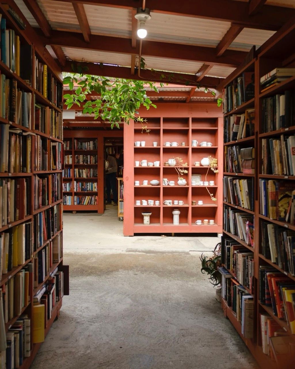 Outdoor wooden bookshelves filled with books, with green plants in the foreground.