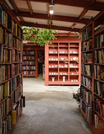Outdoor wooden bookshelves filled with books, with green plants in the foreground.