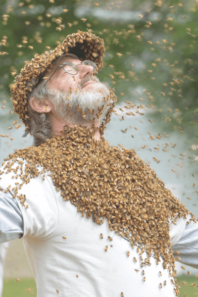 A bearded man covered in a dense swarm of bees on his head, face, and chest, with more bees flying around him.