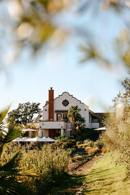 A white Mediterranean-style building with a red chimney and palm trees, framed by blurred leaves, overlooks an outdoor dining area with white umbrellas and a garden.