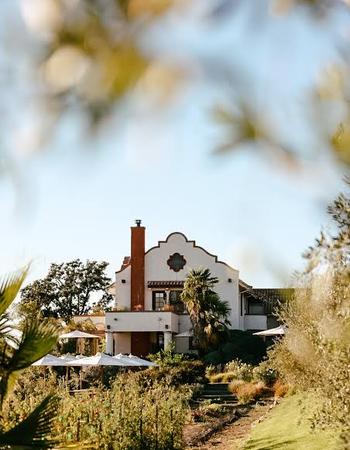 A white Mediterranean-style building with a red chimney and palm trees, framed by blurred leaves, overlooks an outdoor dining area with white umbrellas and a garden.
