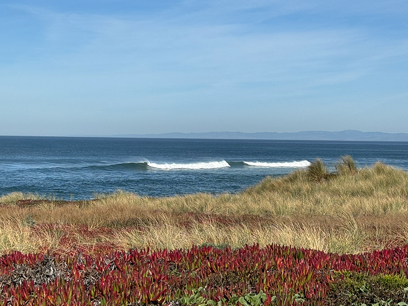 Waves breaking on a blue ocean beyond sandy dunes with red and green coastal plants.