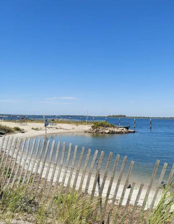 A sandy beach with a wooden fence in the foreground, calm bay water, and a small dock under a clear blue sky.