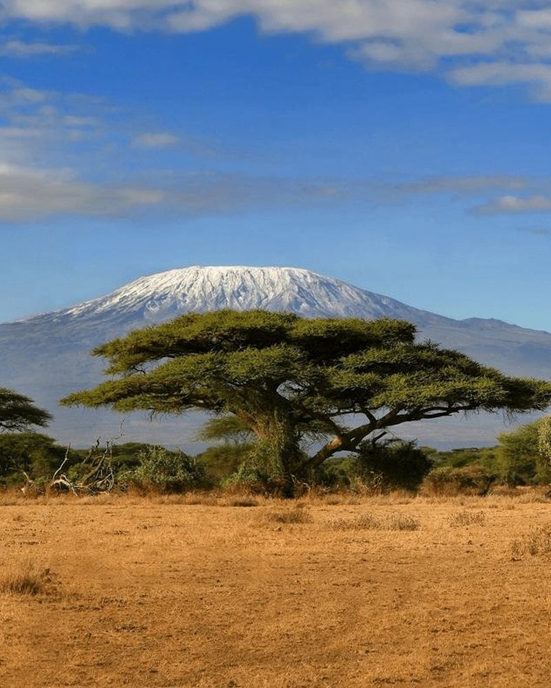Kenya, Africa chosen by Tastemaker Lucia Pica, for Semaine. 