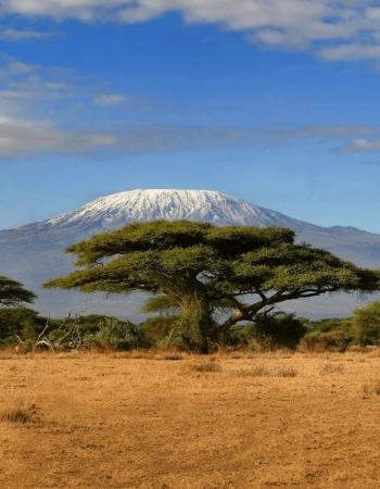 Kenya, Africa chosen by Tastemaker Lucia Pica, for Semaine.