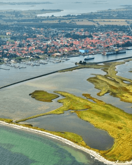 Aerial view of a coastal town featuring red-roofed buildings, a marina with boats, and a port with a ship, situated by wetlands and a sandy beach, all separated by a long breakwater.
