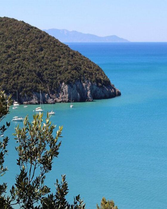 Forested hill meeting turquoise sea with anchored sailboats under a clear sky.