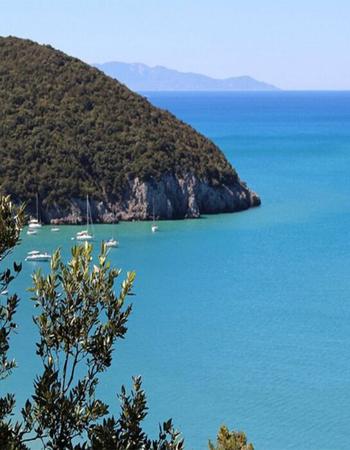 Forested hill meeting turquoise sea with anchored sailboats under a clear sky.