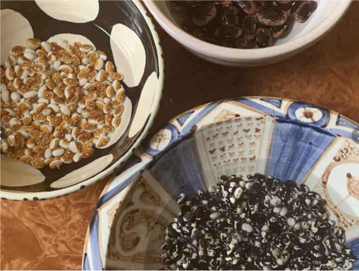 Three decorative bowls filled with various dried beans, including white and tan, dark brown, and black and white speckled.
