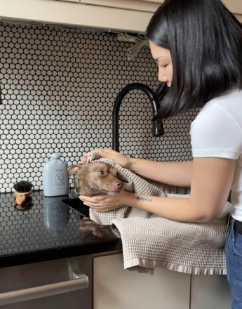 A woman drying a wet brown dog with a towel over a kitchen sink.