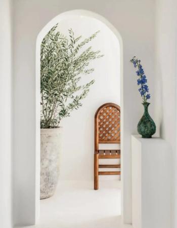 Minimalist white interior with an arched opening, a potted olive tree, wooden chair, and a green vase with blue flowers on a white pedestal.