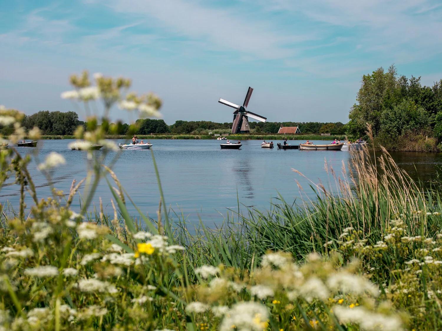 Dutch windmill and boats on a lake, with blurred wildflowers in the foreground.