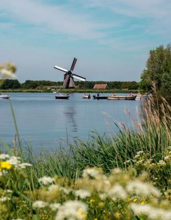 Dutch windmill and boats on a lake, with blurred wildflowers in the foreground.