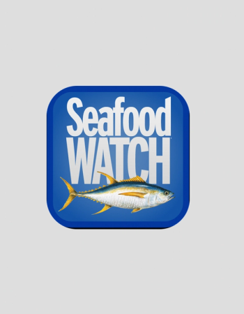 Blue app icon for Seafood WATCH featuring a yellowfin tuna.