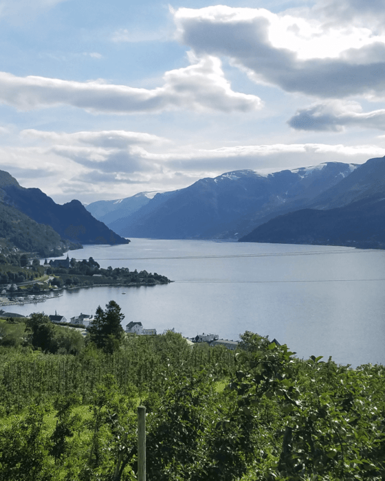 Scenic landscape of a fjord with snow-capped mountains, a village, and an orchard.