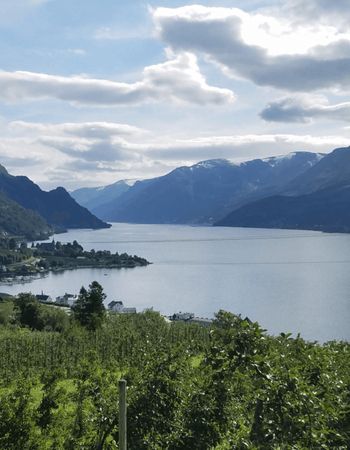 Scenic landscape of a fjord with snow-capped mountains, a village, and an orchard.