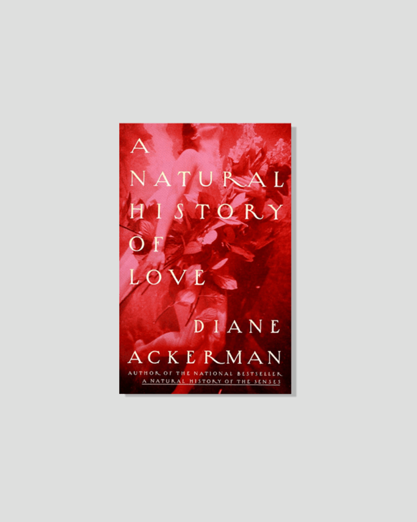 Book cover for "A Natural History of Love" by Diane Ackerman, with a deep red image.