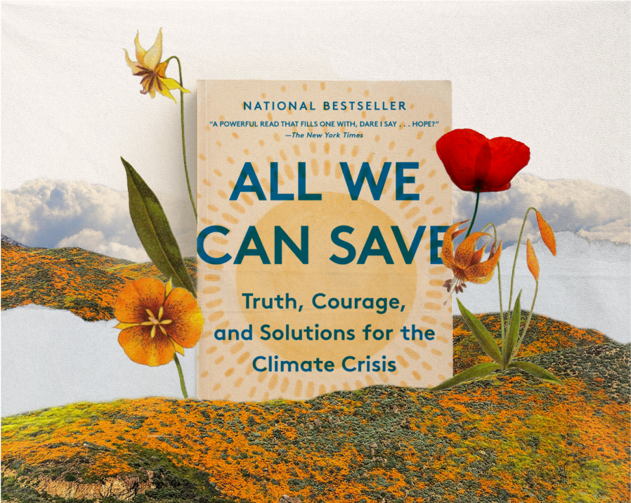 Book 'All We Can Save: Truth, Courage, and Solutions for the Climate Crisis' surrounded by wildflowers on hills covered in orange blossoms, under a cloudy sky.